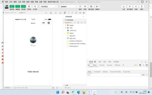 移動軟件開發 實驗1 第一個微信小程序 實驗報告